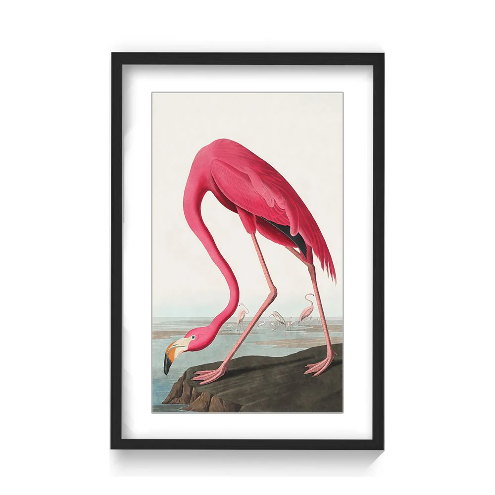 Pink Flamingo